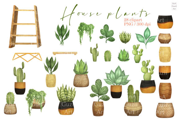 Home plants, pots, flower pot clipart.