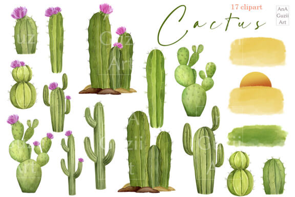 Watercolor cactus, succulent clipart