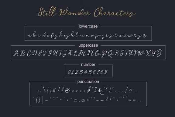Stillwonder Script