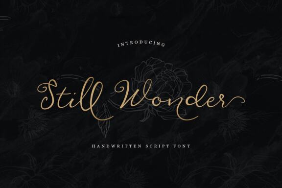 Stillwonder Script