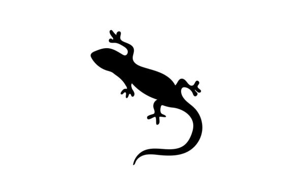 Lizard logo and symbol vector 