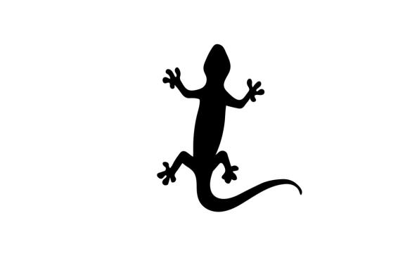 Lizard logo and symbol vector 
