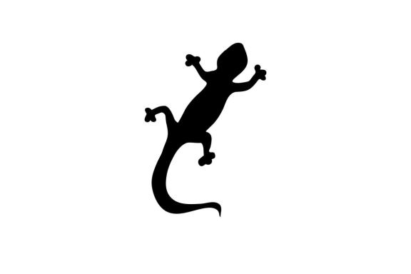 Lizard logo and symbol vector 