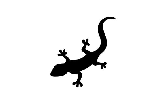 Lizard logo and symbol vector 
