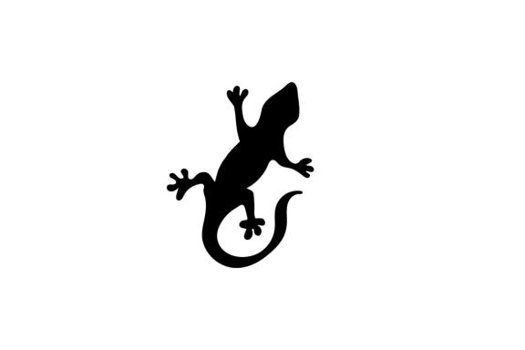 Lizard logo and symbol vector 