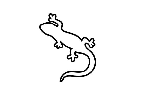 Lizard logo and symbol vector 