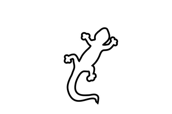 Lizard logo and symbol vector 