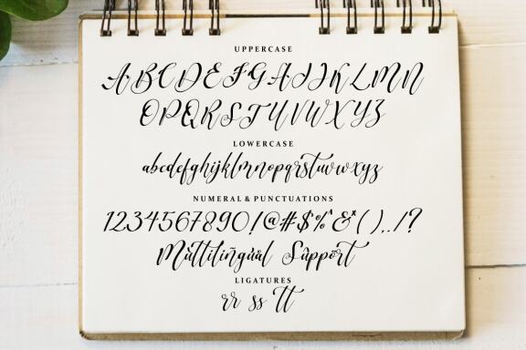 Scripthome Elegant Script