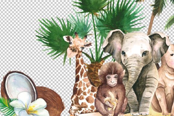 Watercolor Jungle Animals Clipart PNG