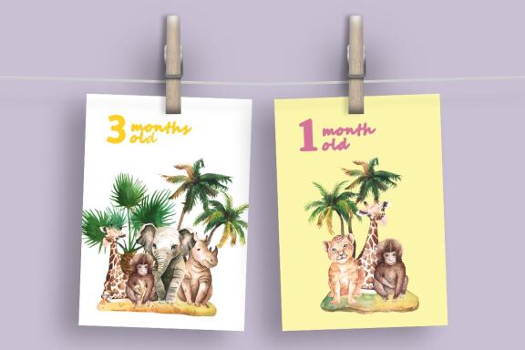 Watercolor Jungle Animals Clipart PNG