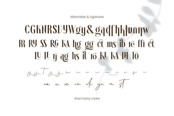 Novita Signora - Font Duo