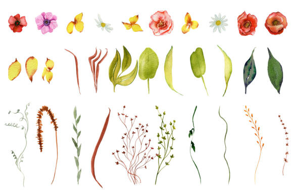 Wild Flowers watercolor wildflowers collection