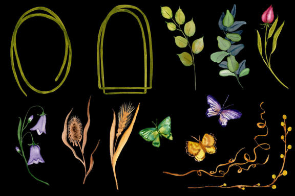 Wild Flowers watercolor wildflowers collection