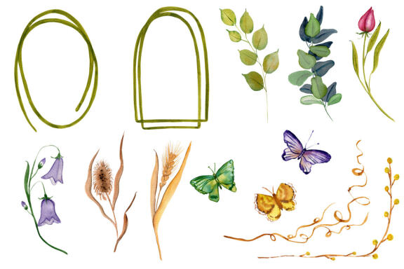 Wild Flowers watercolor wildflowers collection