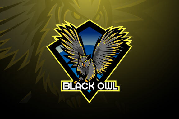 Nocturnal Bird Owl Mascot