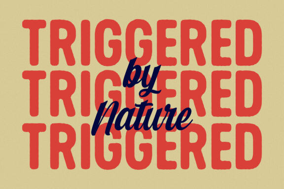 Nirbon Display Font Duo