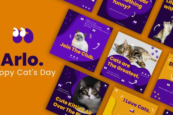 Arlo Cat's Day - Instagram template post