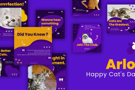 Arlo Cat's Day - Instagram template post