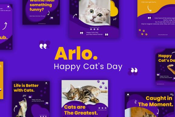 Arlo Cat's Day - Instagram template post