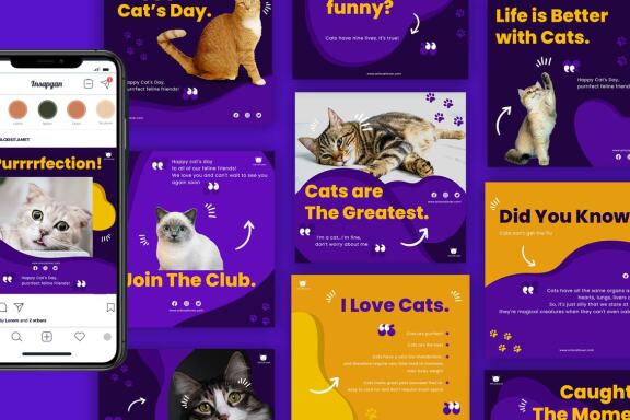 Arlo Cat's Day - Instagram template post