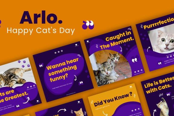 Arlo Cat's Day - Instagram template post