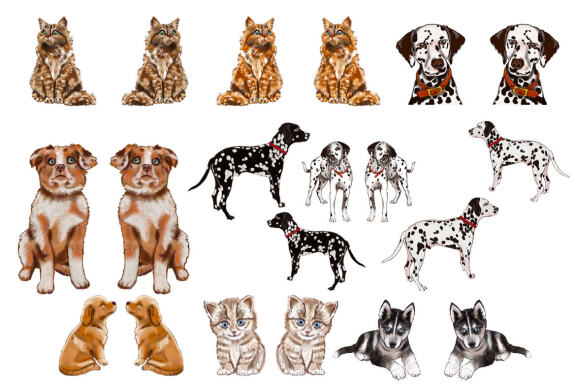 Breeds of dogs, cats Clipart | Sublimation dog PNG