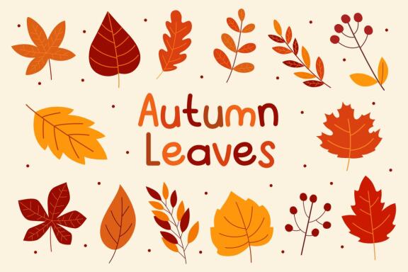 Autumn Leaves Clip Art