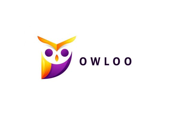 Modern Geometric Colorful Owl Logo