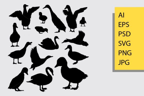 Duck animal silhouette