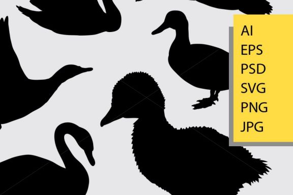 Duck animal silhouette