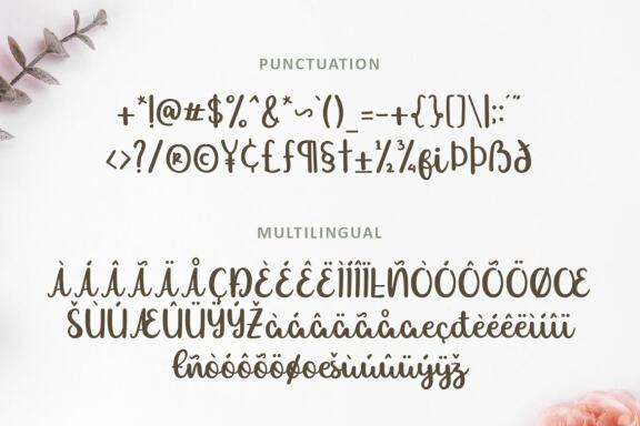 Allexa | Script Font