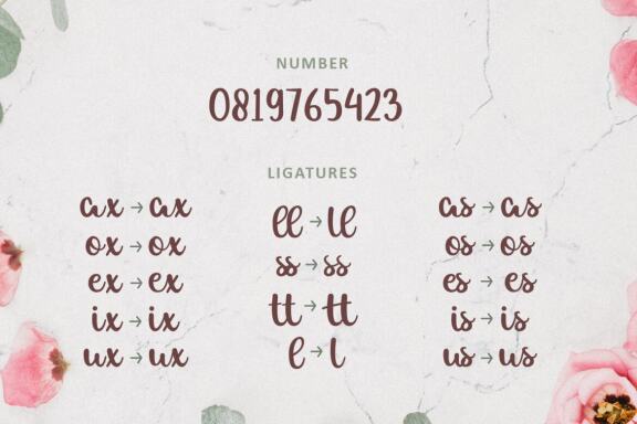 Allexa | Script Font