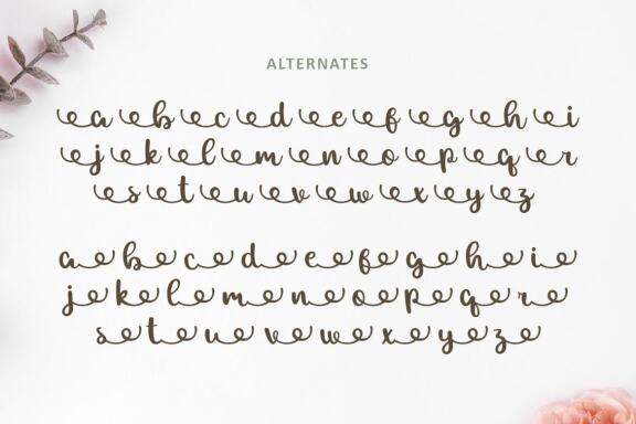 Allexa | Script Font