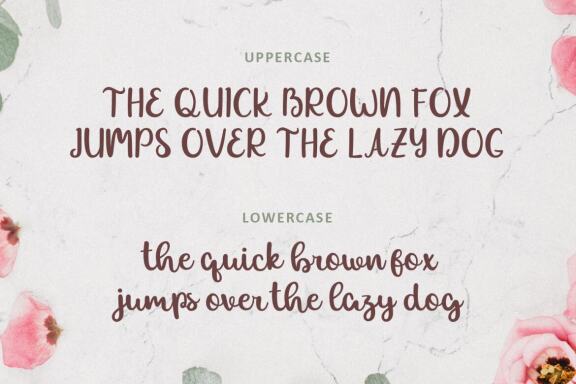 Allexa | Script Font