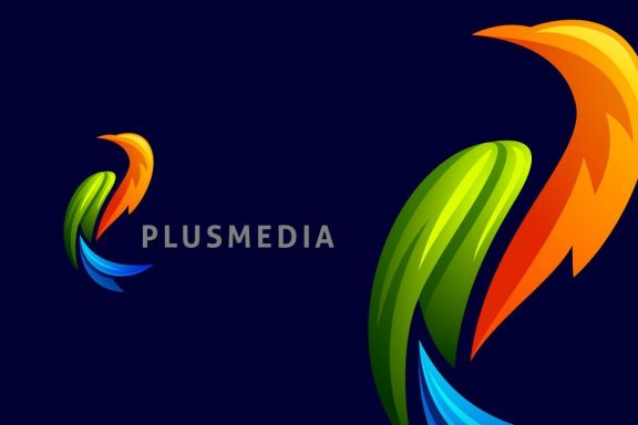 Modern Colorful Bird Logo