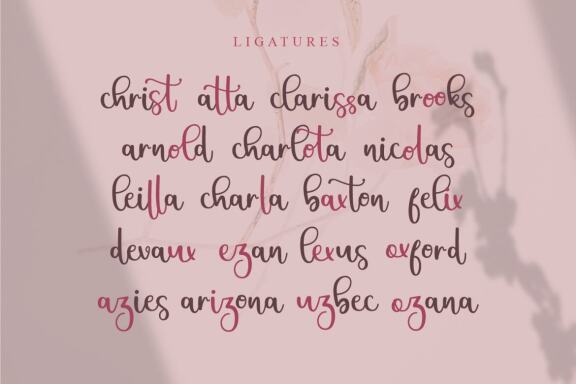 Christin | Script Font