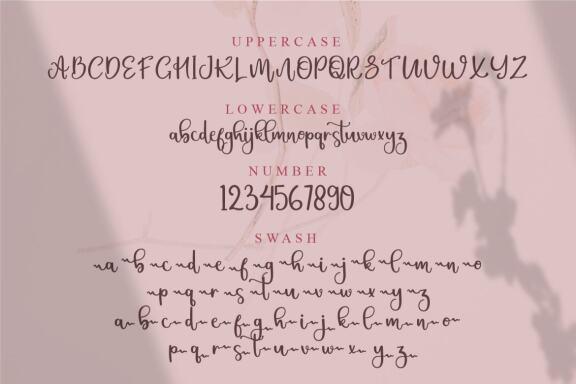 Christin | Script Font