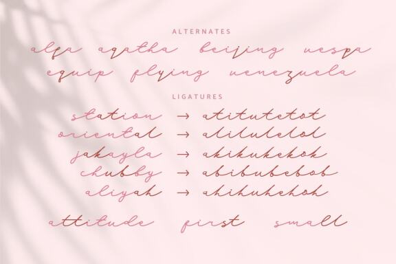 Hello Austen | Script Font