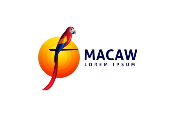 Modern Colorful Macaw Bird Logo