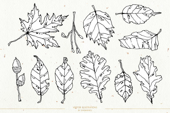 Leaves and Branches Botanical Vol. 2