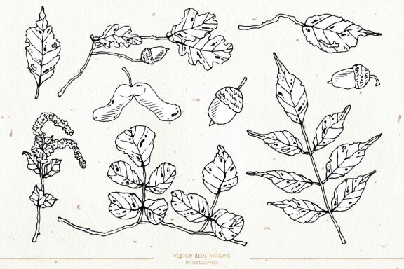 Leaves and Branches Botanical Vol. 2