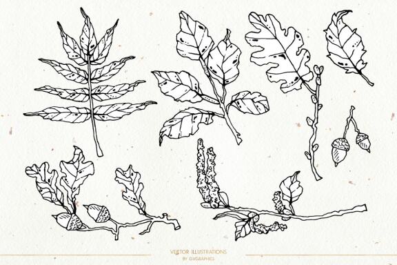 Leaves and Branches Botanical Vol. 2