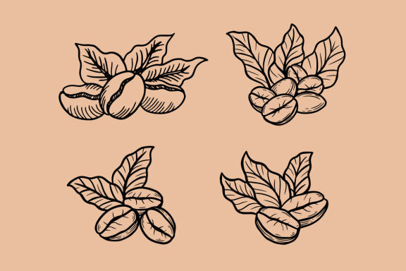 14 Set Bundle Coffee Tree, Coffee Hand Drawn, Coffee Beans Plant Shop Line Art