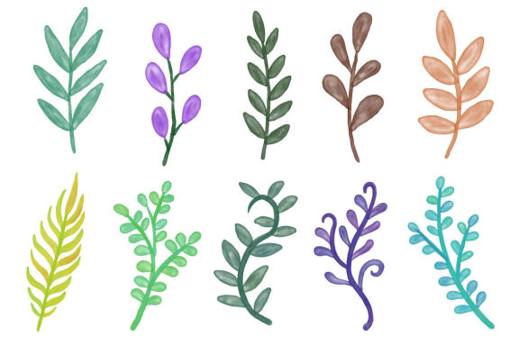 74 Set Bundle Flat Leaf Leaves Watercolor Tropical Arts Branches botanical green Clipart