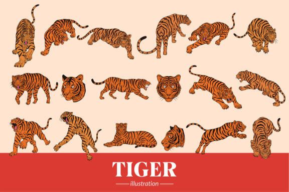 18 Set Bundle Tiger Head Pose Wild Animal Jungle Safari Vintage Clipart Cartoon