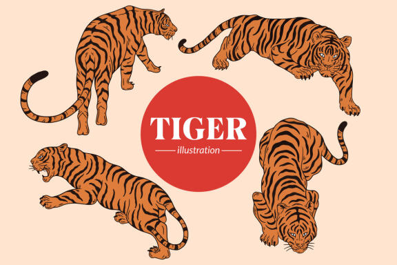 18 Set Bundle Tiger Head Pose Wild Animal Jungle Safari Vintage Clipart Cartoon