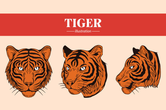 18 Set Bundle Tiger Head Pose Wild Animal Jungle Safari Vintage Clipart Cartoon