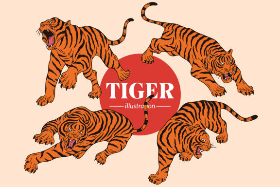 18 Set Bundle Tiger Head Pose Wild Animal Jungle Safari Vintage Clipart Cartoon