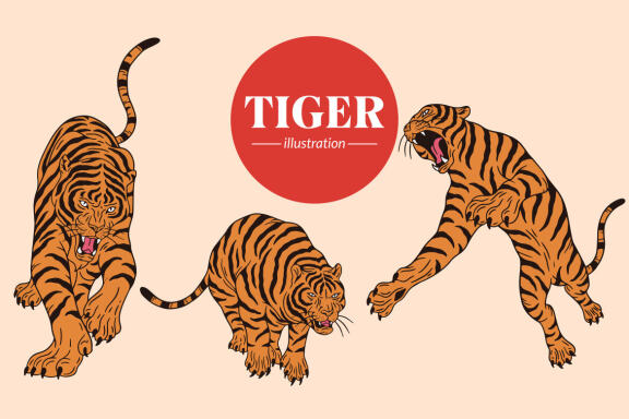 18 Set Bundle Tiger Head Pose Wild Animal Jungle Safari Vintage Clipart Cartoon