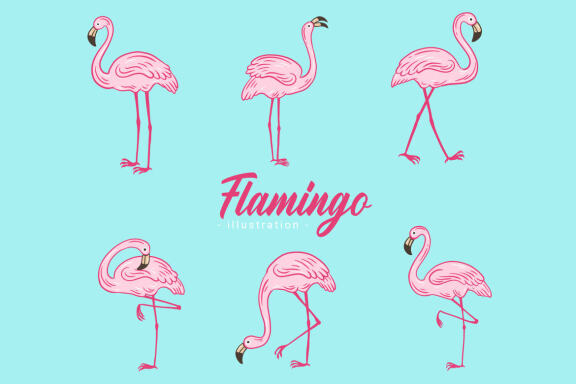42 Set Cute Flamingo pink Bird flamingos Aesthetic Tropical Exotic Clipart